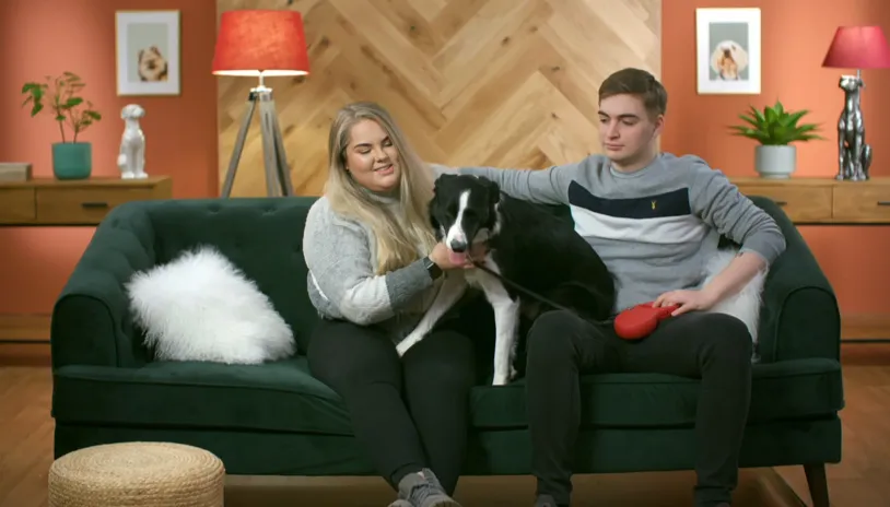 The Dog House thumbnail