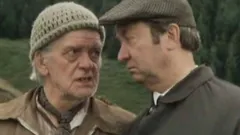 Last of the Summer Wine