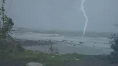 The Curse Of Oak Island