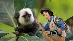 Andy's Safari Adventures