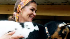 The Real Housewives of Miami