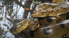 The Proof Is Out There