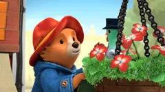 **Visually Signed** The Adventures of Paddington