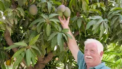 Bargain-Loving Brits in the Sun