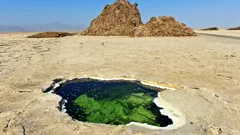 Discovered By Disaster