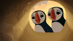 Puffin Rock