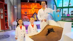 Nina and the Neurons