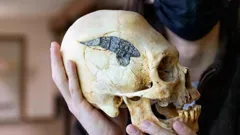 The Proof Is Out There