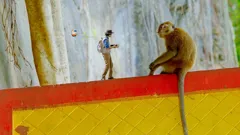 Andy's Global Adventures