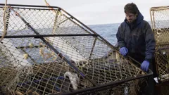 Deadliest Catch