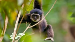 Andy's Global Adventures