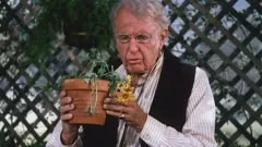 Little House On The Prairie