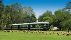 World's Most Scenic Railway Journeys