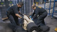 Border Force America's Gatekeepers