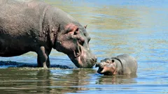 Namibia's Natural Wonders