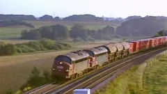 Bloodline Detectives