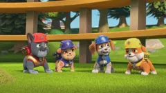 Rubble & Crew