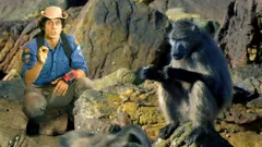 Andy's Wild Adventures