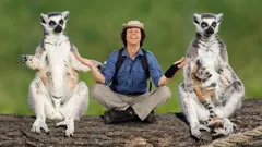 Andy's Wild Adventures