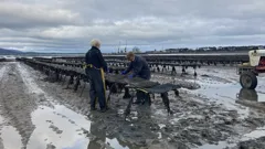 Great Coastal Railway Journeys