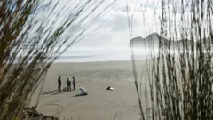 The Brokenwood Mysteries (BSL)