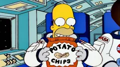 The Simpsons