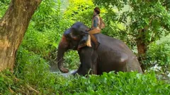 Andy's Safari Adventures