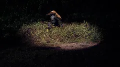 Close Encounters