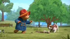 **Visually Signed** The Adventures of Paddington