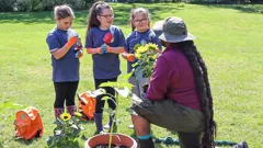 Ranger Hamza's Eco Quest