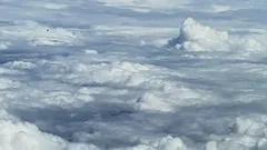 The Proof Is Out There:...