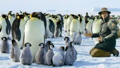 Andy's Global Adventures