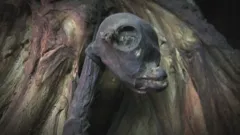 The Proof Is Out There