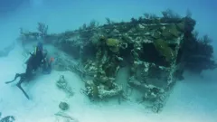 Discovered By Disaster