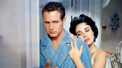 Cat on a Hot Tin Roof