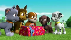 PAW Patrol