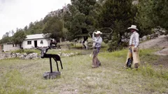 **Visually Signed** Amazing...