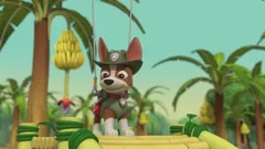 PAW Patrol