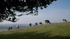 Unwind with ITV