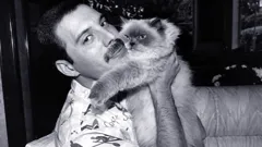 Freddie Mercury
