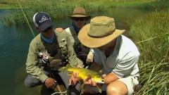 Robson's Extreme Fishing Challenge