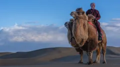 My Epic Camel Adventure with Gordon Buchanan