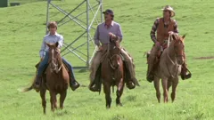 Magnum, P.I.
