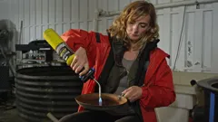 Gold Divers