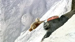 Andy's Wild Adventures