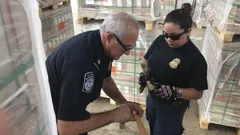 Border Force America's Gatekeepers