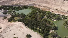 Abandoned Engineering