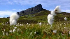 Grand Tours of the Scottish Isles