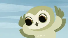 Puffin Rock
