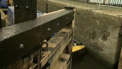 How Do They Do It?
